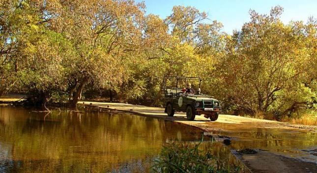Essay on a night camp in the gir forest image