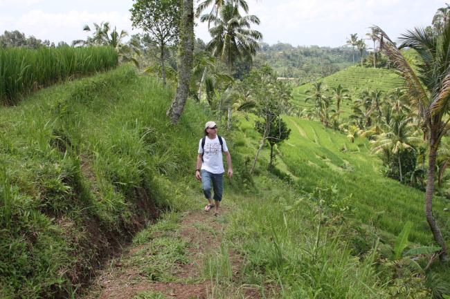 Rice-field Hiking & Farmer Work Discovery,Bali:Photos,Reviews,Deals