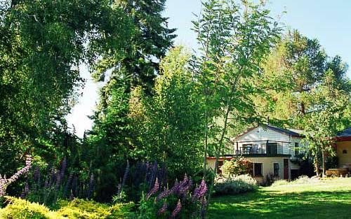 Lake Tekapo Cottages,Lake Tekapo:Photos,Reviews,Deals