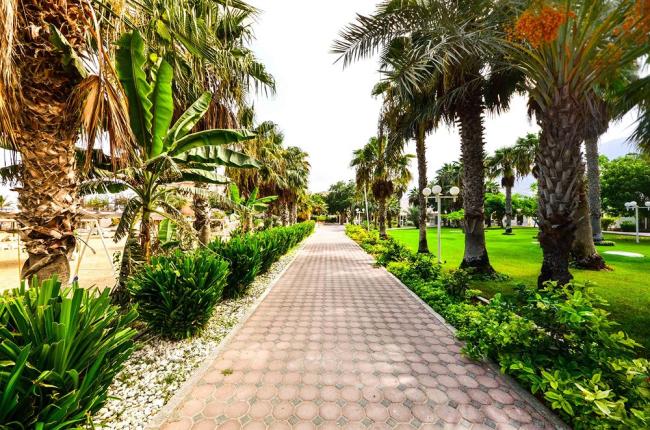 Sandy Beach Hotel & Resort,Fujairah:Photos,Reviews,Deals
