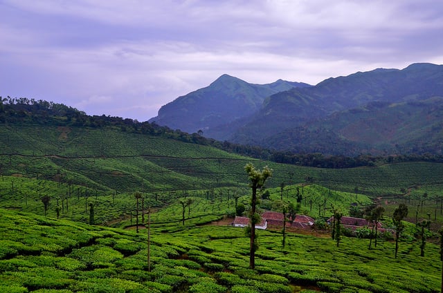 Coffee Gudda,Chikmagalur:Photos,Reviews,Deals