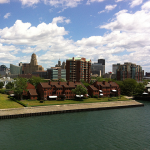 Buffalo