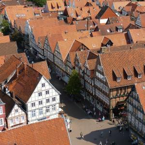 Celle