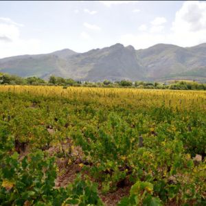 Franschhoek