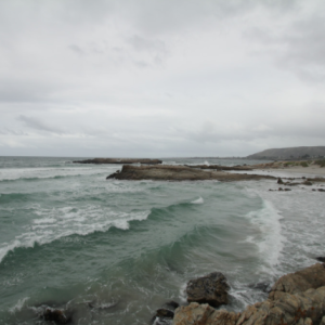 Hermanus