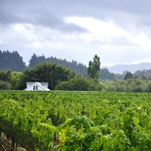 Martinborough
