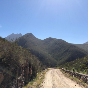 Montagu