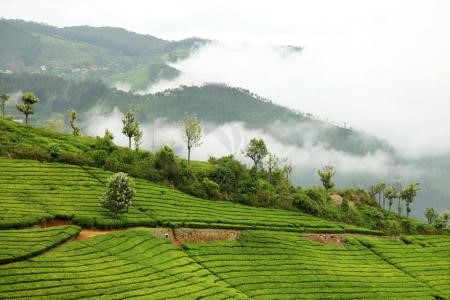 Image result for t Kuruthukuli near Ooty