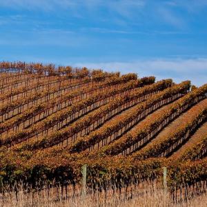 Sonoma