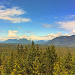 Tofino