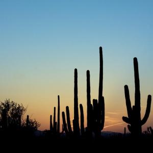 Tucson